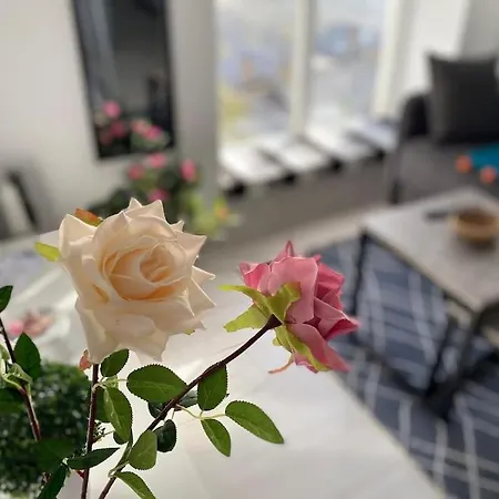 Apartment Premium *